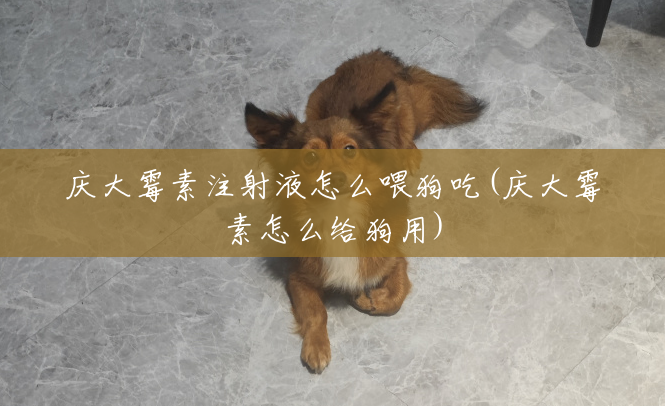 庆大霉素注射液怎么喂狗吃(庆大霉素怎么给狗用) 庆大霉素注射液怎么喂狗吃(庆大霉素怎么给狗用)