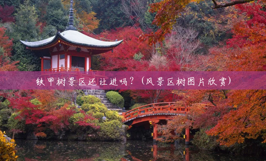铁甲树景区还让进吗？(风景区树图片欣赏)