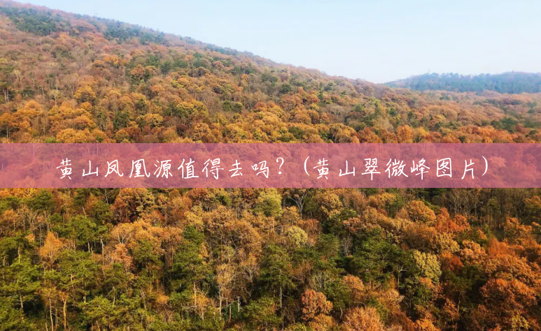 黄山凤凰源值得去吗?(黄山翠微峰图片) 黄山凤凰源值得去吗?(黄山翠微峰图片)