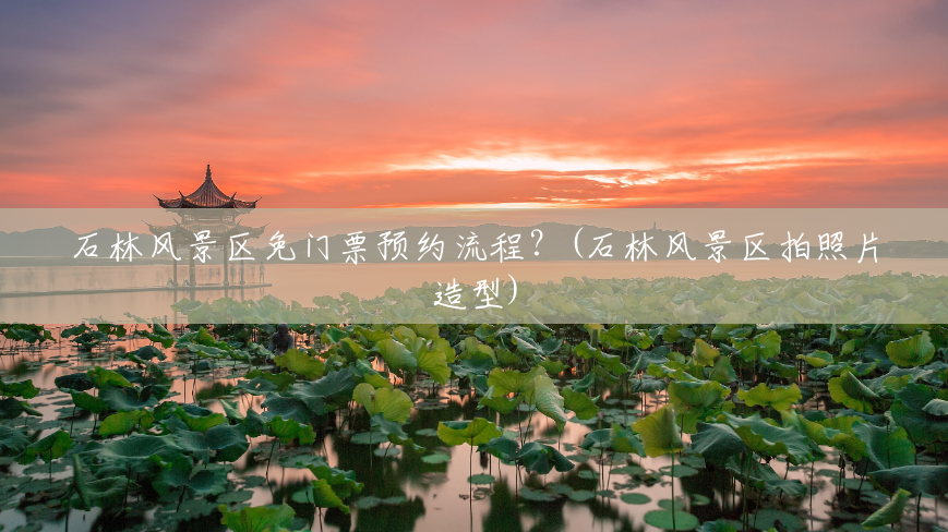 石林风景区免门票预约流程?(石林风景区拍照片造型) 石林风景区免门票预约流程?(石林风景区拍照片造型)