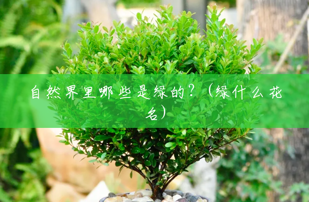 自然界里哪些是绿的?(绿什么花名) 自然界里哪些是绿的?(绿什么花名)