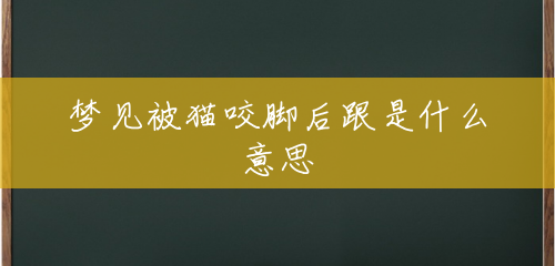 梦见被猫咬脚后跟是什么意思 梦见被猫咬脚后跟是什么意思