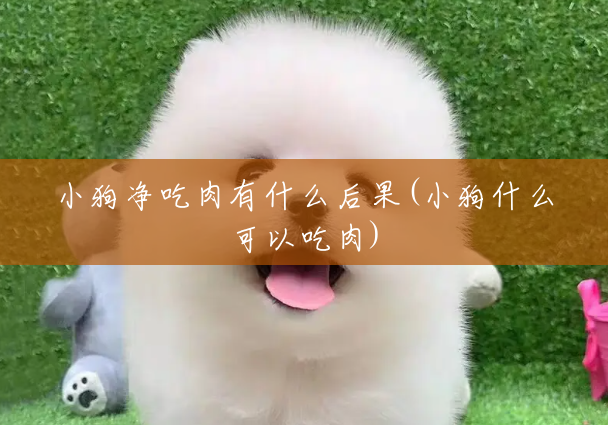 小狗净吃肉有什么后果(小狗什么可以吃肉) 小狗净吃肉有什么后果(小狗什么可以吃肉)
