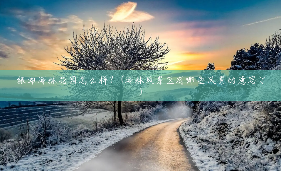 银滩海林花园怎么样?(海林风景区有哪些风景的意思了) 银滩海林花园怎么样?(海林风景区有哪些风景的意思了)