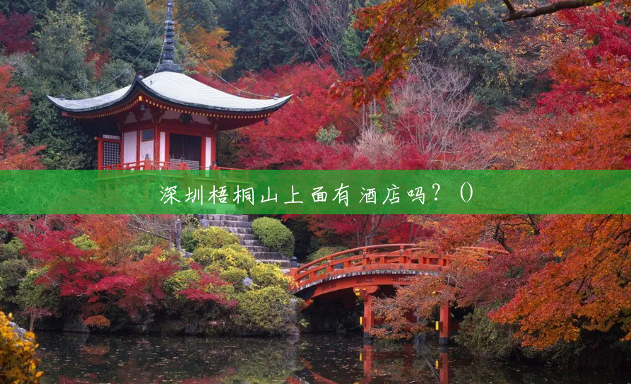 深圳梧桐山上面有酒店吗？()