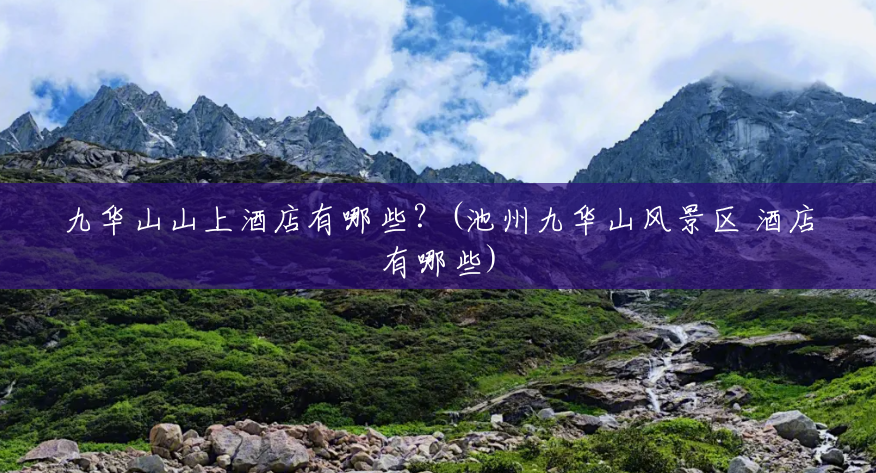 九华山山上酒店有哪些？(池州九华山风景区 酒店有哪些)