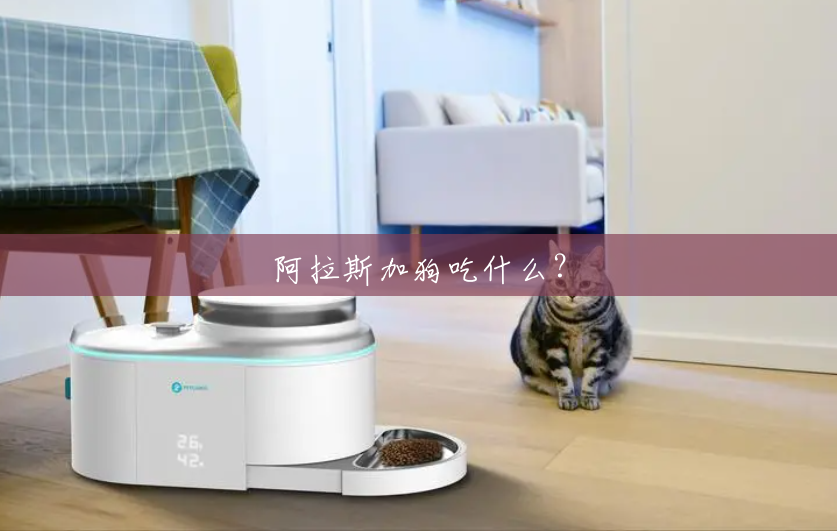 阿拉斯加狗吃什么? 阿拉斯加狗吃什么?