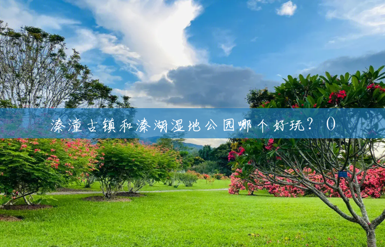 溱潼古镇和溱湖湿地公园哪个好玩?() 溱潼古镇和溱湖湿地公园哪个好玩?()