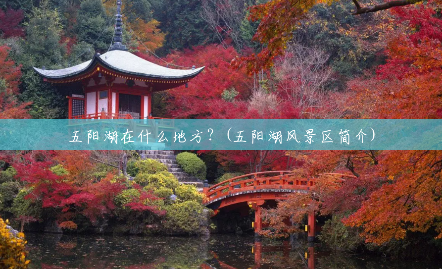 五阳湖在什么地方?(五阳湖风景区简介) 五阳湖在什么地方?(五阳湖风景区简介)