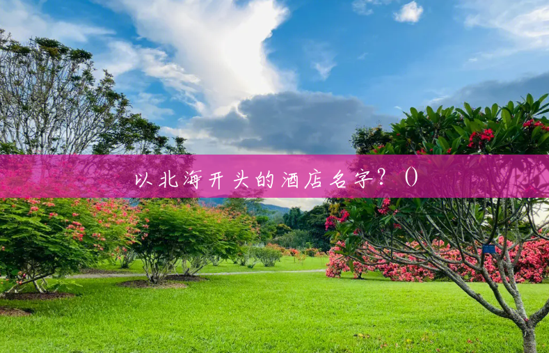 以北海开头的酒店名字?() 以北海开头的酒店名字?()