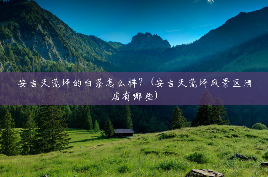 安吉天荒坪的白茶怎么样?(安吉天荒坪风景区酒店有哪些) 安吉天荒坪的白茶怎么样?(安吉天荒坪风景区酒店有哪些)