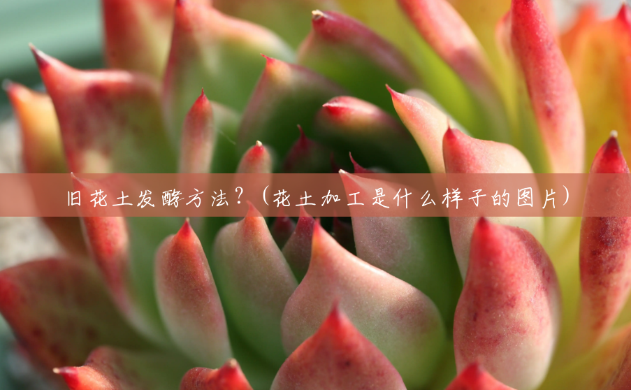 旧花土发酵方法？(花土加工是什么样子的图片)