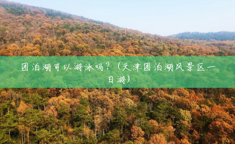 团泊湖可以游泳吗?(天津团泊湖风景区一日游) 团泊湖可以游泳吗?(天津团泊湖风景区一日游)