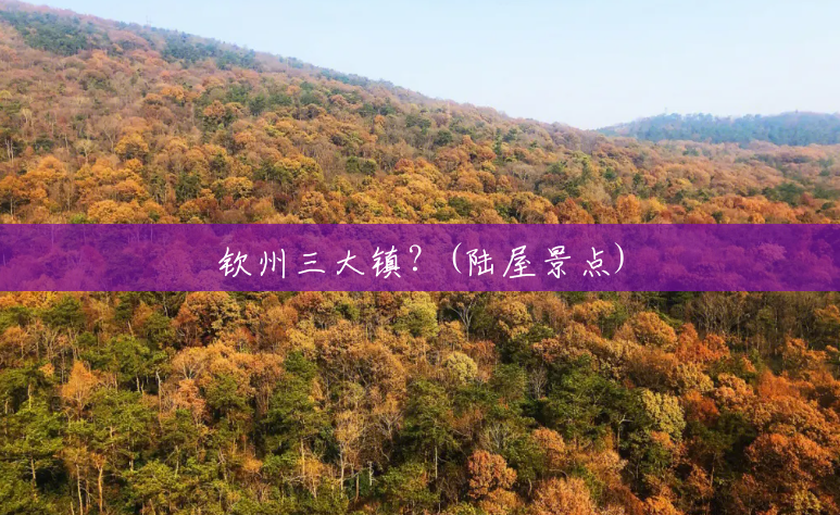 钦州三大镇?(陆屋景点) 钦州三大镇?(陆屋景点)