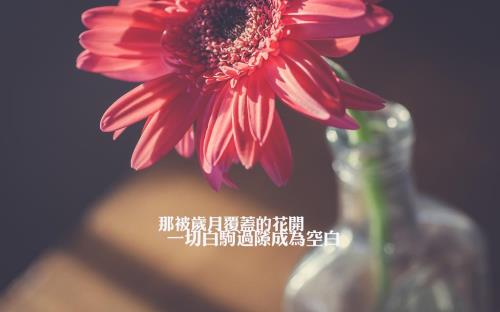 给女强人的祝福语
