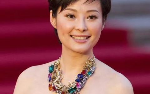 袁立最新电视剧(播放袁立主演电视剧)