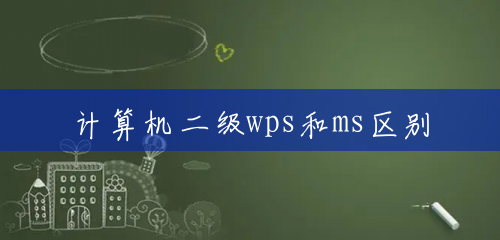 计算机二级wps和ms区别