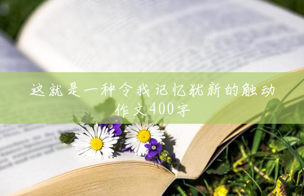 这就是一种令我记忆犹新的触动作文400字