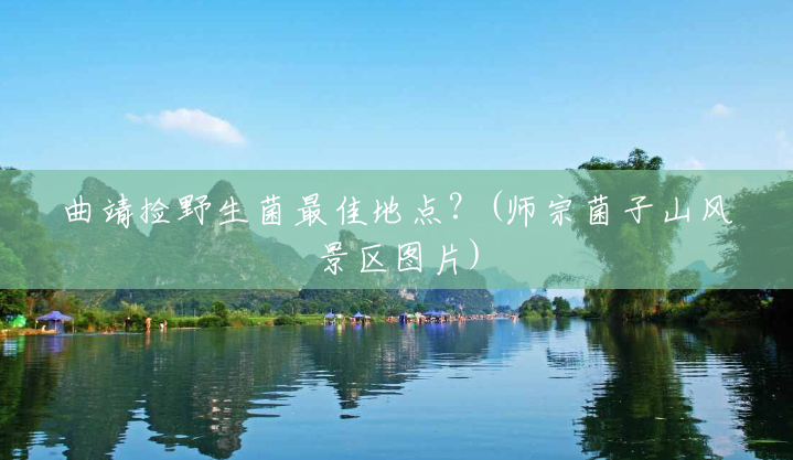 曲靖捡野生菌最佳地点?(师宗菌子山风景区图片) 曲靖捡野生菌最佳地点?(师宗菌子山风景区图片)