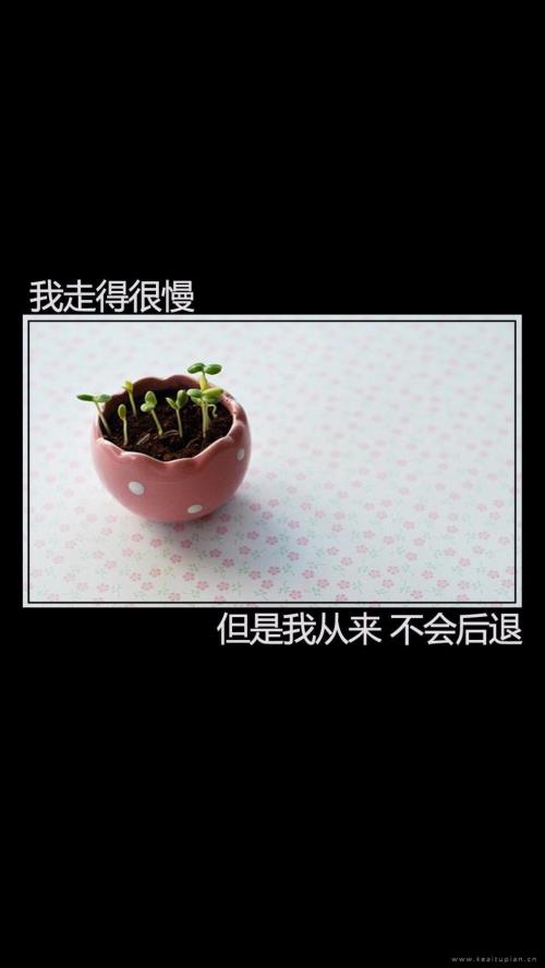冬天早上问好暖心句子