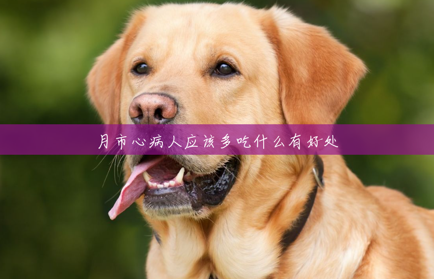 月市心病人应该多吃什么有好处 月市心病人应该多吃什么有好处