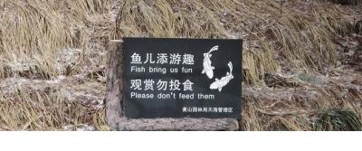 形容女人心累的句子