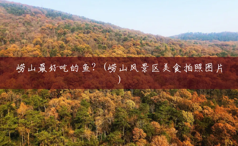 崂山最好吃的鱼?(崂山风景区美食拍照图片) 崂山最好吃的鱼?(崂山风景区美食拍照图片)