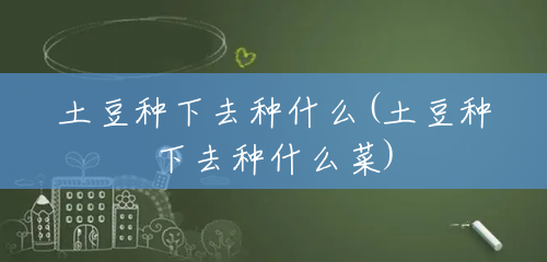 土豆种下去种什么(土豆种下去种什么菜) 土豆种下去种什么(土豆种下去种什么菜)