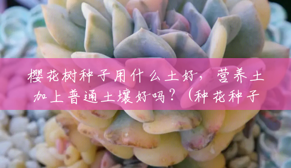 樱花树种子用什么土好，营养土加上普通土壤好吗？(种花种子用什么土好?)