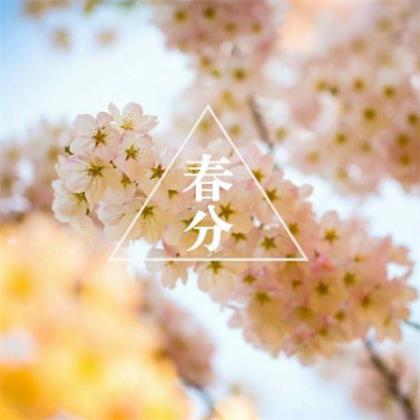 送给男朋友的句子
