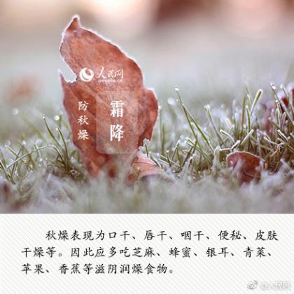 关于悲伤的一段话