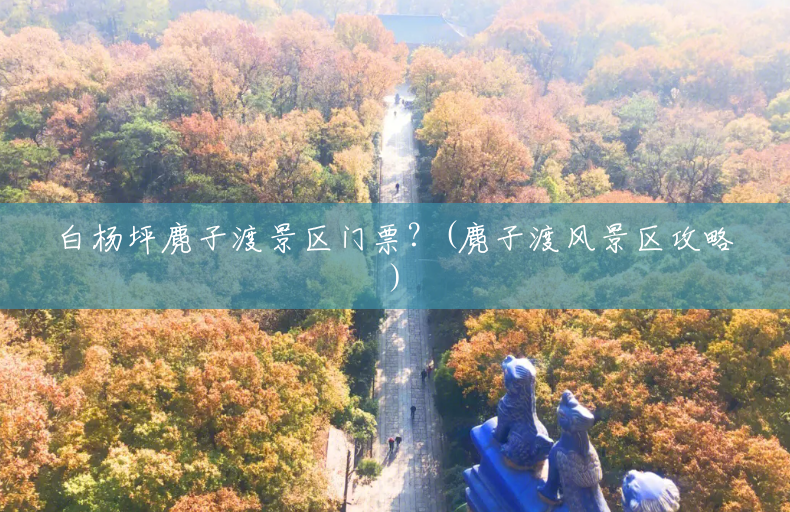 白杨坪麂子渡景区门票?(麂子渡风景区攻略) 白杨坪麂子渡景区门票?(麂子渡风景区攻略)