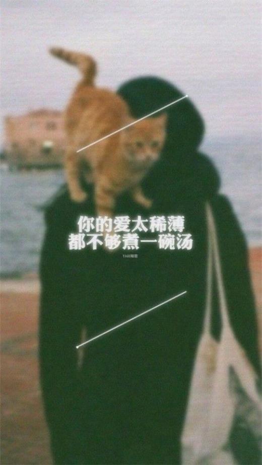qq爱情说说幸福