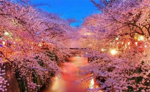 时间的名言警句大全