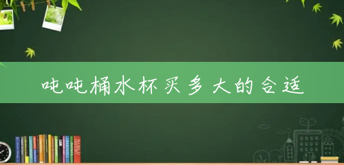 吨吨桶水杯买多大的合适
