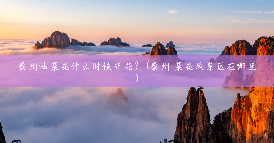 泰州油菜花什么时候开花?(泰州 菜花风景区在哪里) 泰州油菜花什么时候开花?(泰州 菜花风景区在哪里)