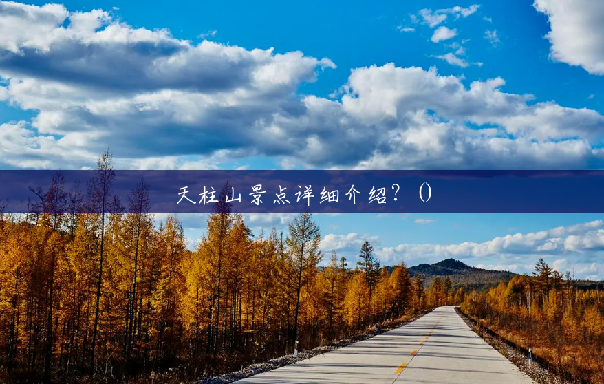 天柱山景点详细介绍?() 天柱山景点详细介绍?()
