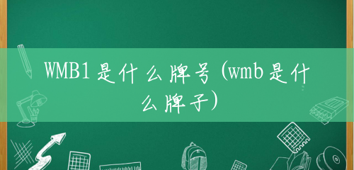 WMB1是什么牌号(wmb是什么牌子)