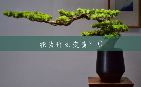 花为什么变黄?() 花为什么变黄?()
