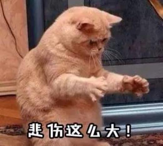 风雨同行励志语