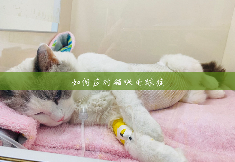 如何应对猫咪毛球症 如何应对猫咪毛球症