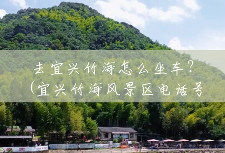 去宜兴竹海怎么坐车?(宜兴竹海风景区电话号码) 去宜兴竹海怎么坐车?(宜兴竹海风景区电话号码)