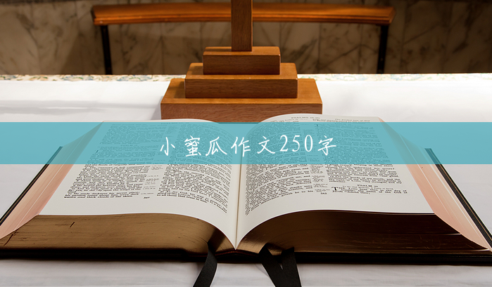 小蜜瓜作文250字 小蜜瓜作文250字