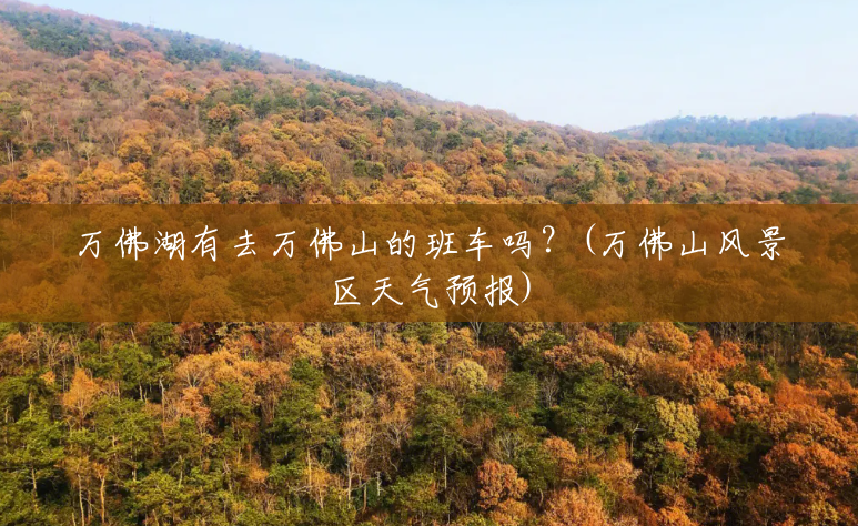 万佛湖有去万佛山的班车吗?(万佛山风景区天气预报) 万佛湖有去万佛山的班车吗?(万佛山风景区天气预报)