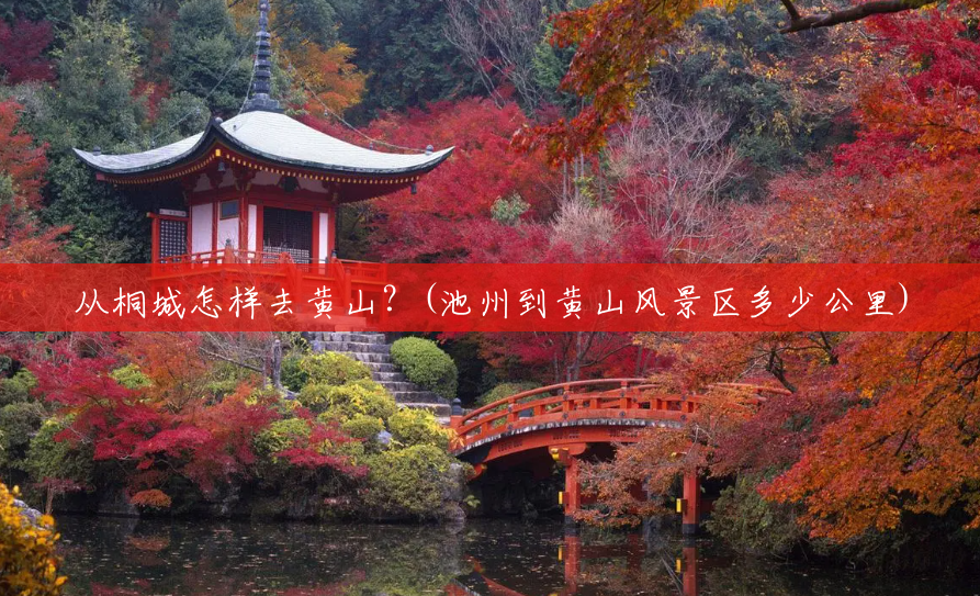 从桐城怎样去黄山?(池州到黄山风景区多少公里) 从桐城怎样去黄山?(池州到黄山风景区多少公里)