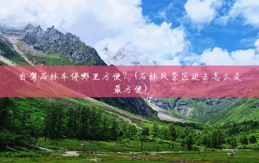 自驾石林车停哪里方便?(石林风景区进去怎么走最方便) 自驾石林车停哪里方便?(石林风景区进去怎么走最方便)