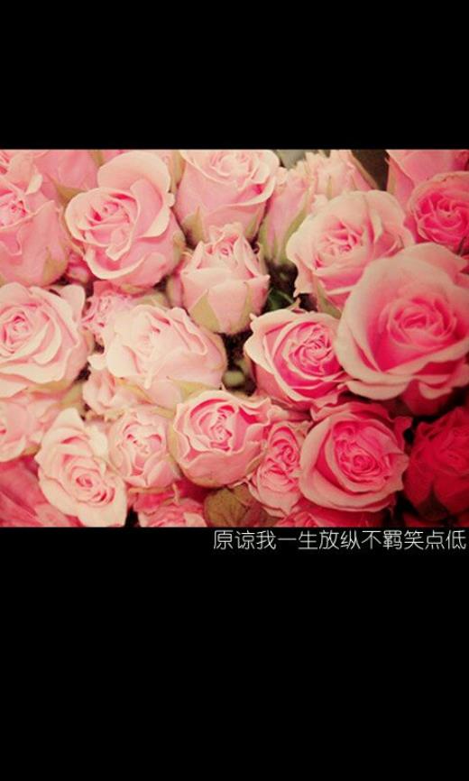简简单单的幸福的短句