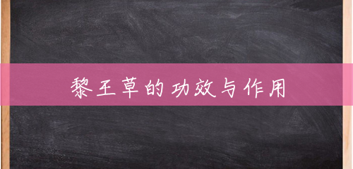 黎王草的功效与作用 黎王草的功效与作用