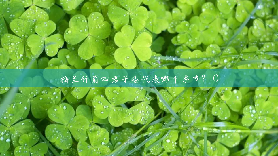 梅兰竹菊四君子各代表哪个季节？()