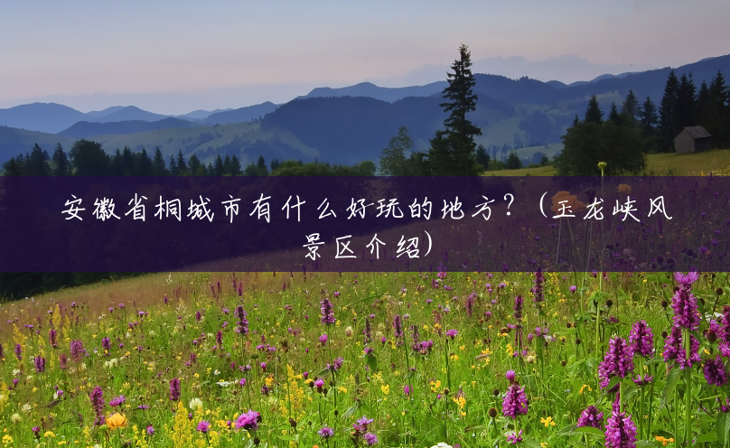 安徽省桐城市有什么好玩的地方?(玉龙峡风景区介绍) 安徽省桐城市有什么好玩的地方?(玉龙峡风景区介绍)